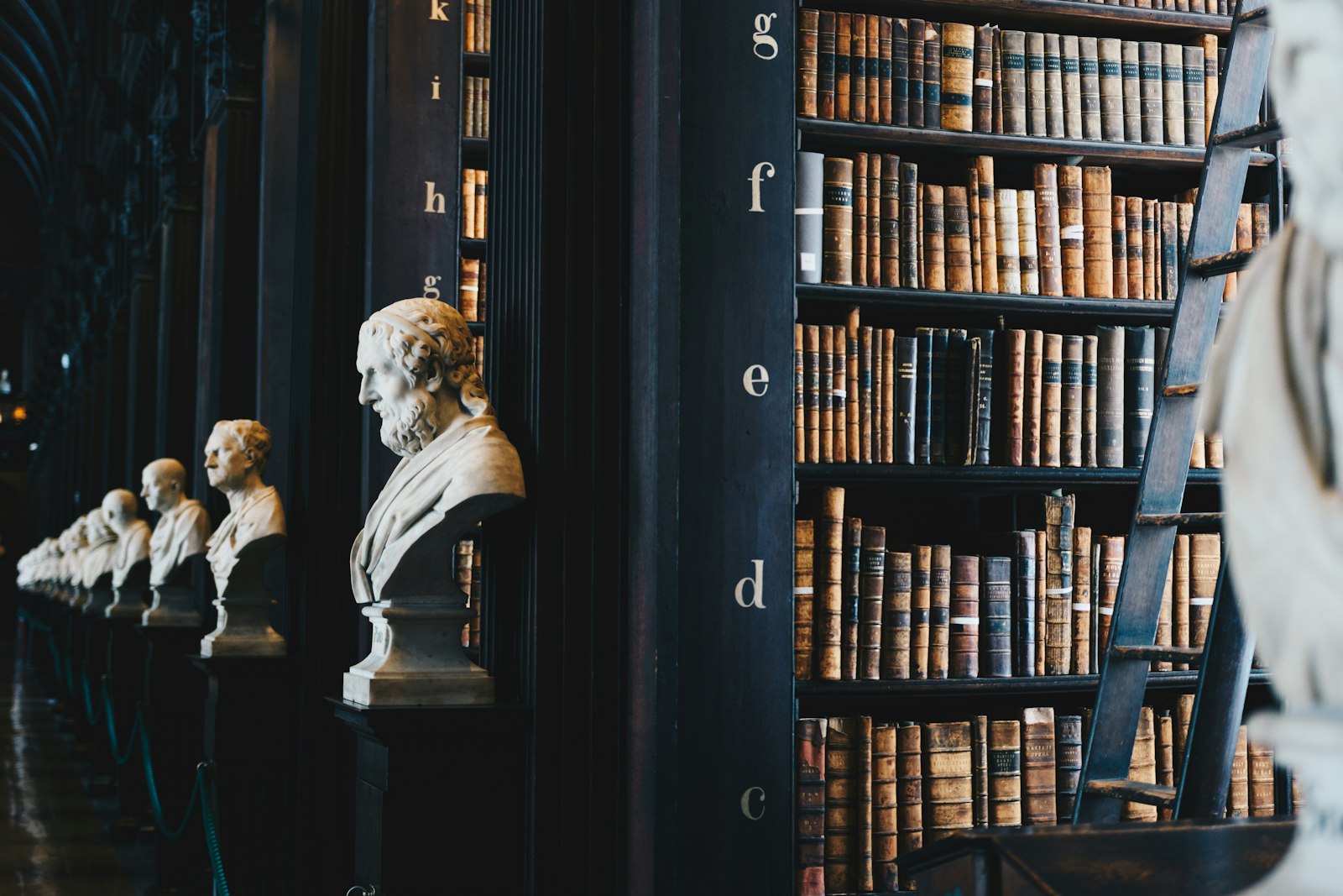 Grand law library lined with volumes of legal reference